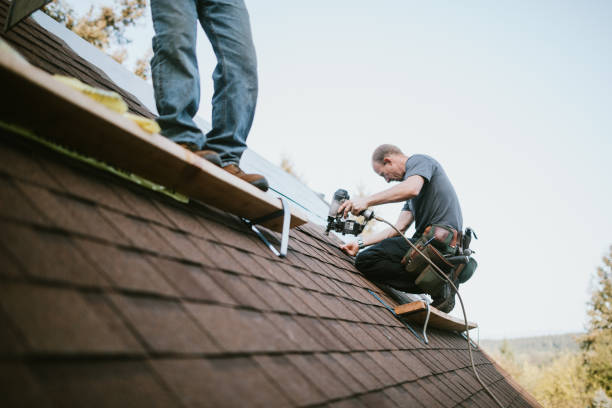 Best Roof Gutter Cleaning  in Choccolocco, AL